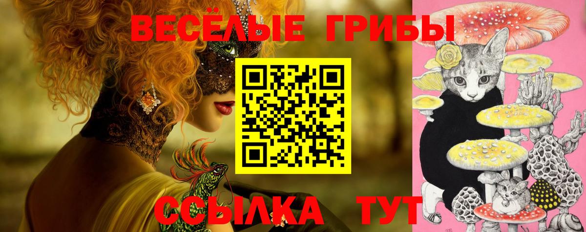 Галлюциногенные грибы Cubensis Анжеро-Судженск