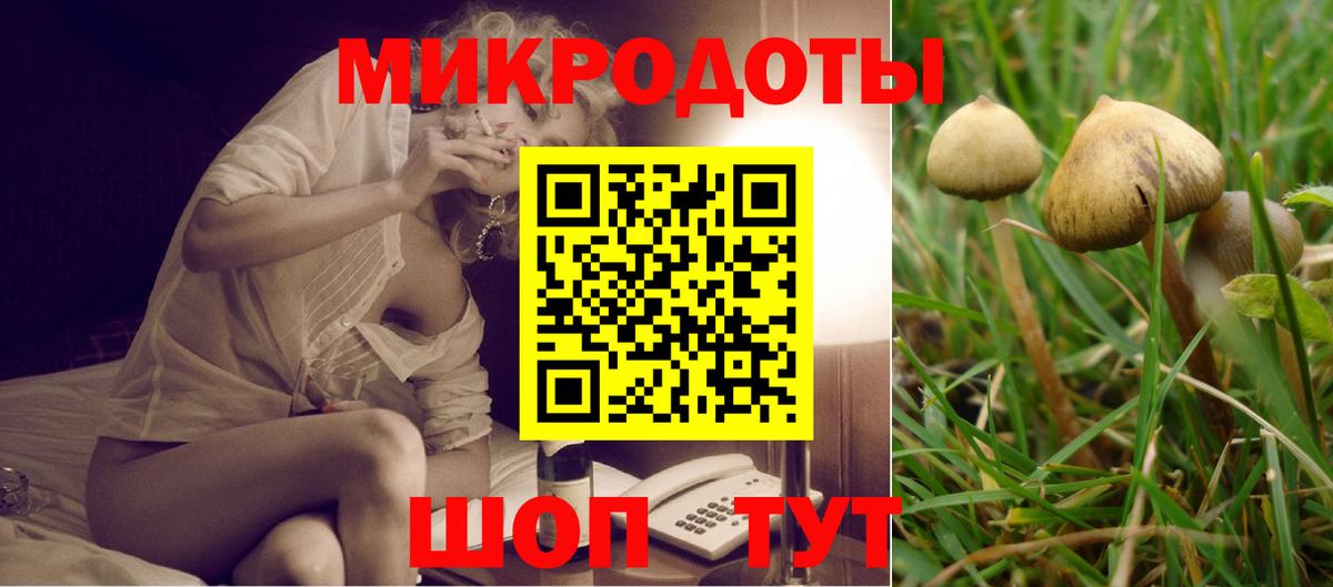 наркошоп  Псилоцибиновые грибы Magic Shrooms  Вход с VPN  Галлюциногенные грибы MAGIC MUSHROOMS  Анжеро-Судженск 